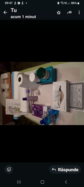 Masaj profesional atestat,